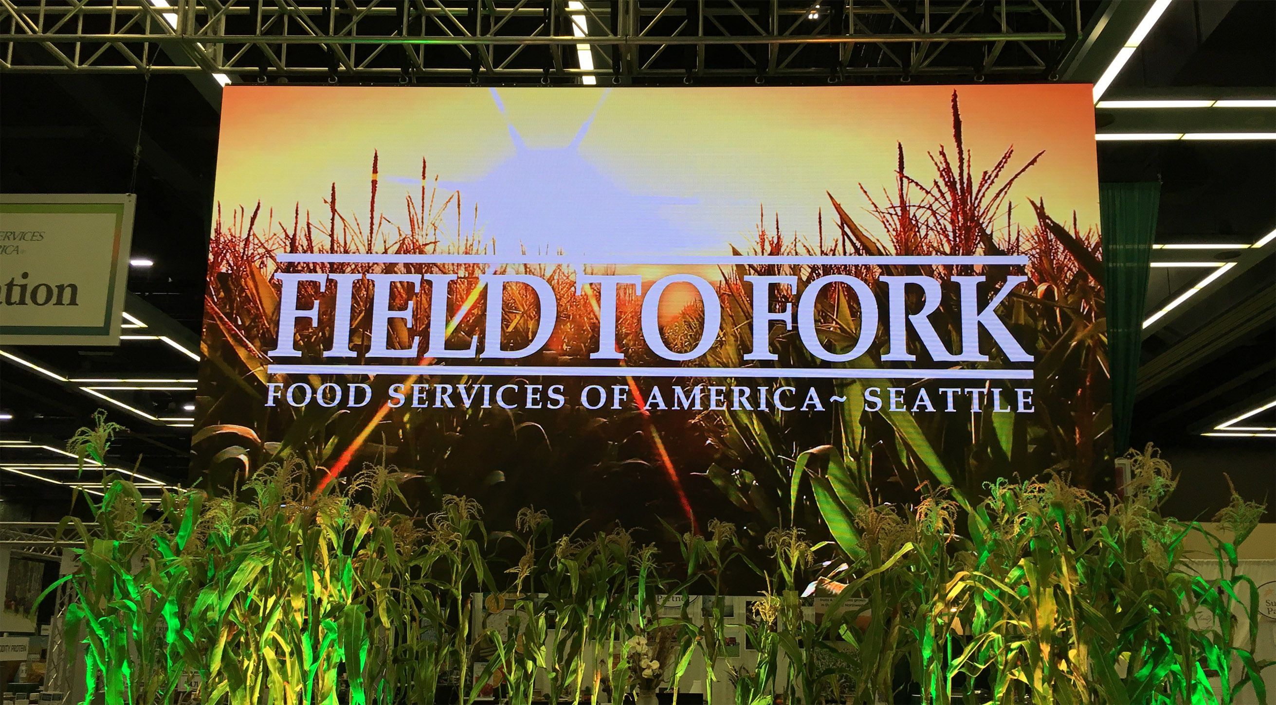 24' x 14' LED video wall