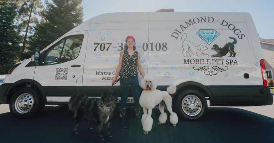 Liz and the business mascots bowie lab mix and ziggy stardard poodle standing in front of grooming van
