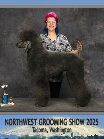 Showcasing a 3rd place win for Liz and her standard with a 3rd place trophy sitting on the table