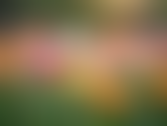 The Art of Mindful Living