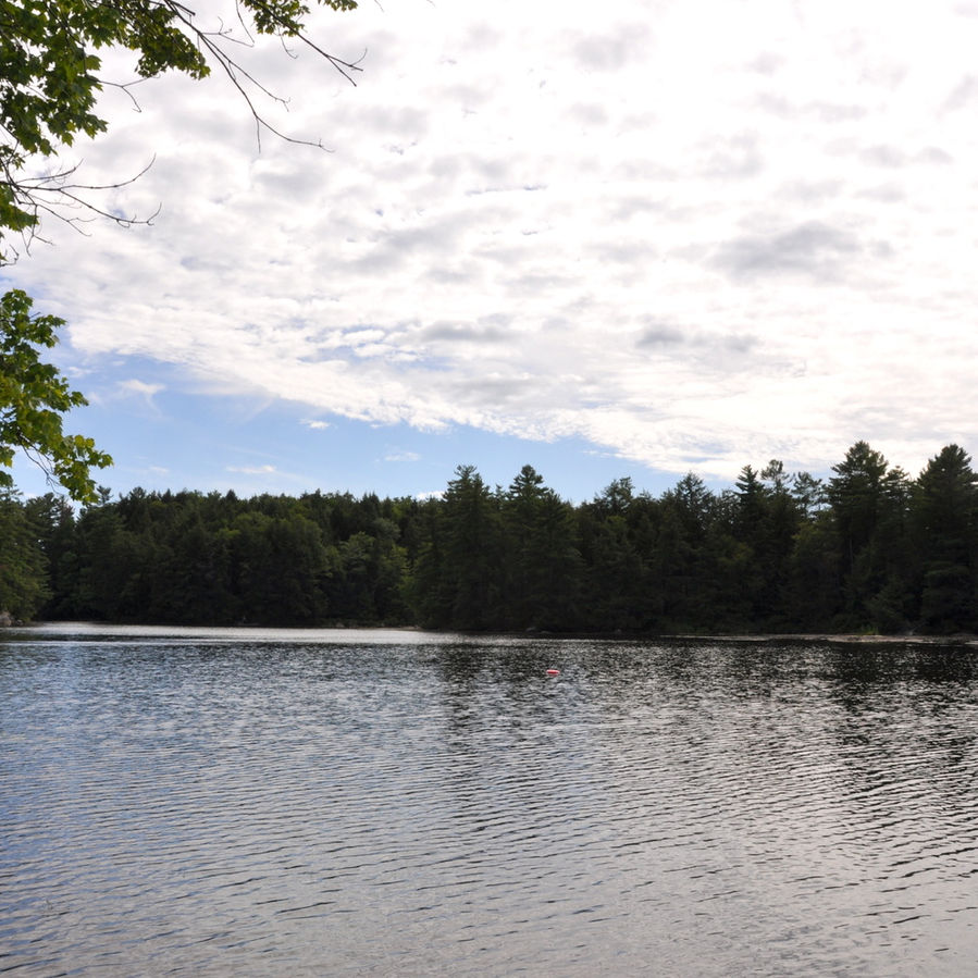 350-dock-lake3.jpeg