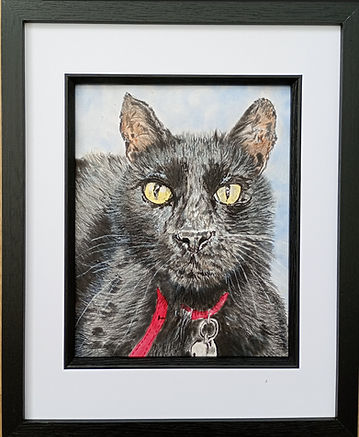 Sooty - Framed.jpg