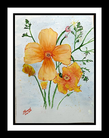'Orange King' - Escholzia Californian Poppies - Framed.jpg