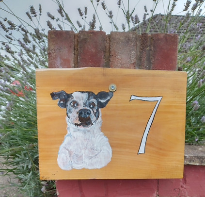 House Number Plate