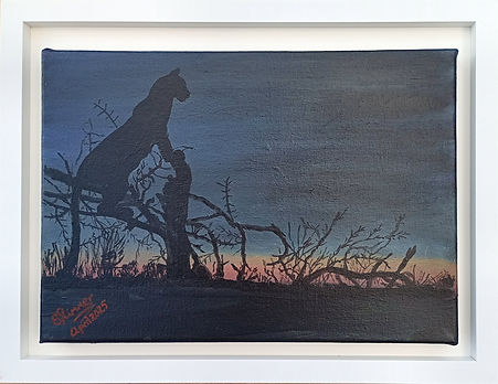 The hunt is on - Leopard at night 2.jpg