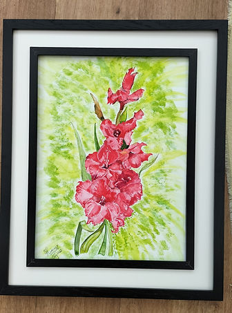 Sword Lily - Gladioli.jpg