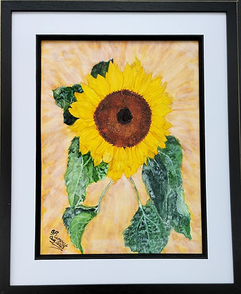 Sunflower.jpg