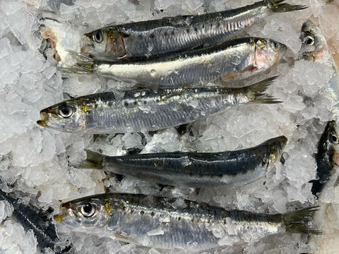 Appréciez les sardines bretonnes grosses de Fouad Fish, un produit local issu des côtes bretonnes, réputé pour sa qualité et son goût exceptionnel. Ces sardines, pêchées dans le respect des traditions, offrent une chair savoureuse, charnue et riche en oméga-3, idéale pour une alimentation saine et équilibrée.
Parfaites pour être grillées, marinées ou simplement préparées au four, elles révèlent des saveurs uniques, typiques des produits de la mer bretonne. Leur fraîcheur et leur taille généreuse en font un choix idéal pour des plats authentiques et gourmands.
Disponibilité : Entières, prêtes à être cuisinées.