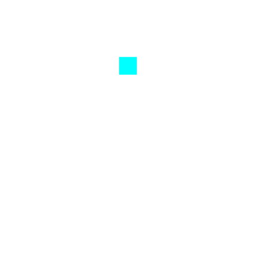 51.gif