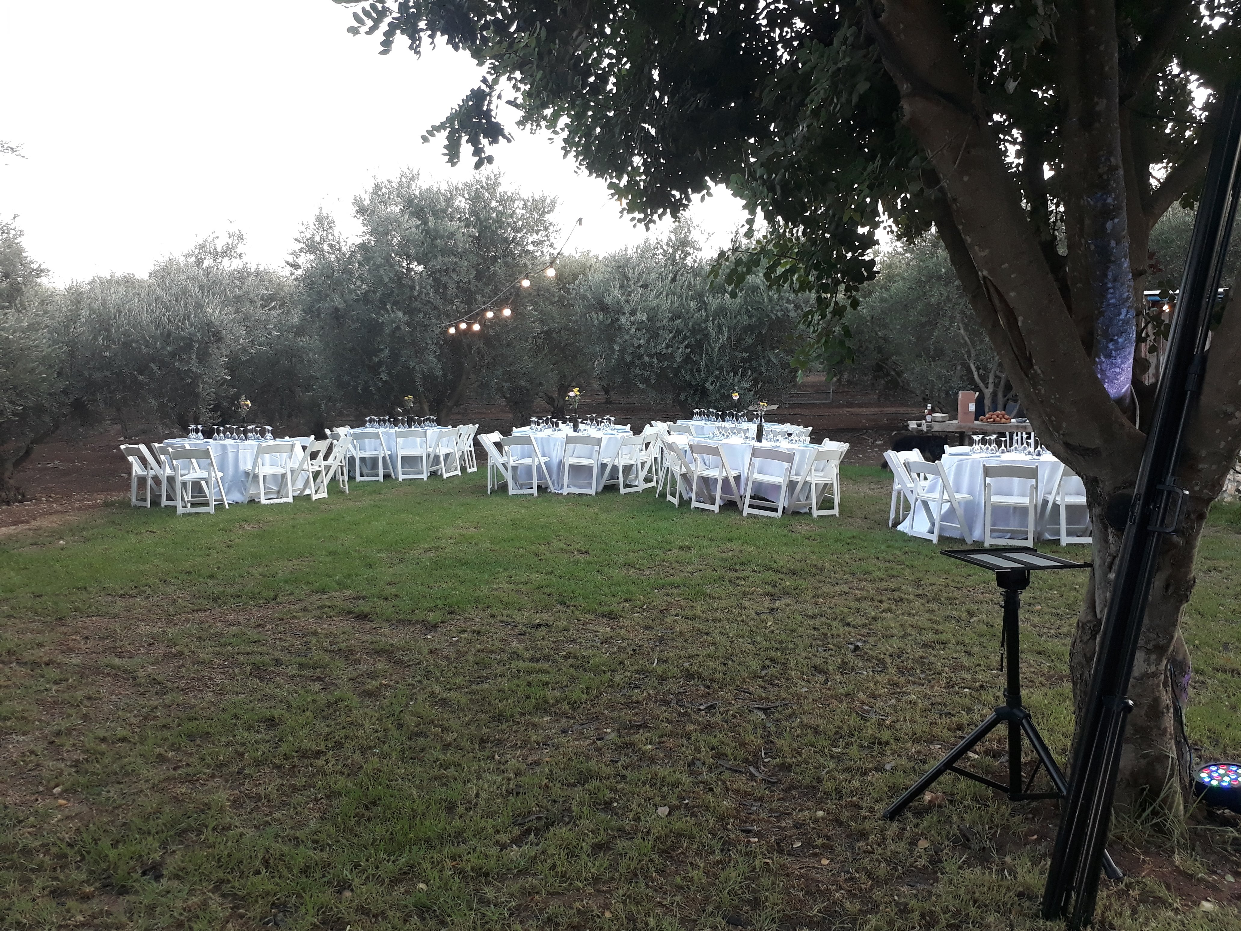 חינה ביקב