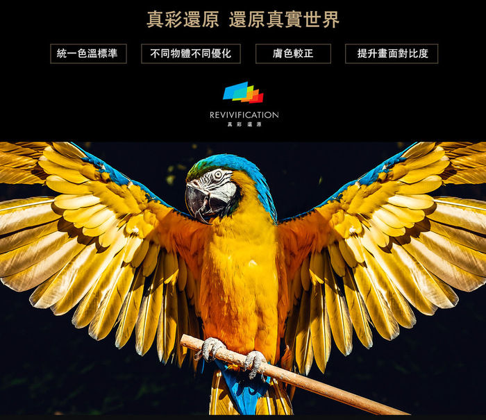 縮圖：XGIMI 極米 H3 投影機 最新旗艦2019