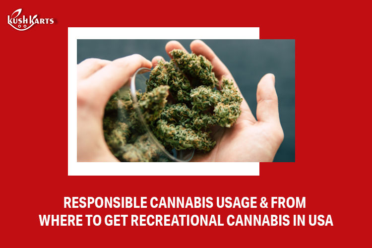 Responsible Cannabis Usage & From Where to Get Recreational Cannabis in USA
