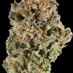 GrapeFoot Juice Feminized Cannabis Seeds