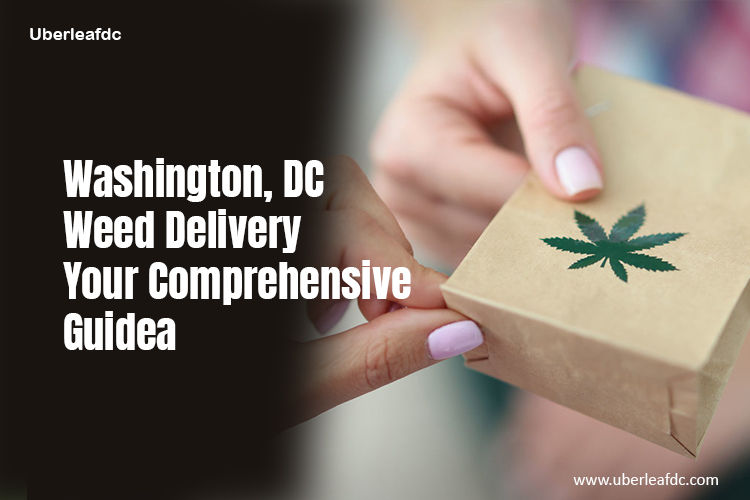 Washington, DC Weed Delivery: Your Comprehensive Guide