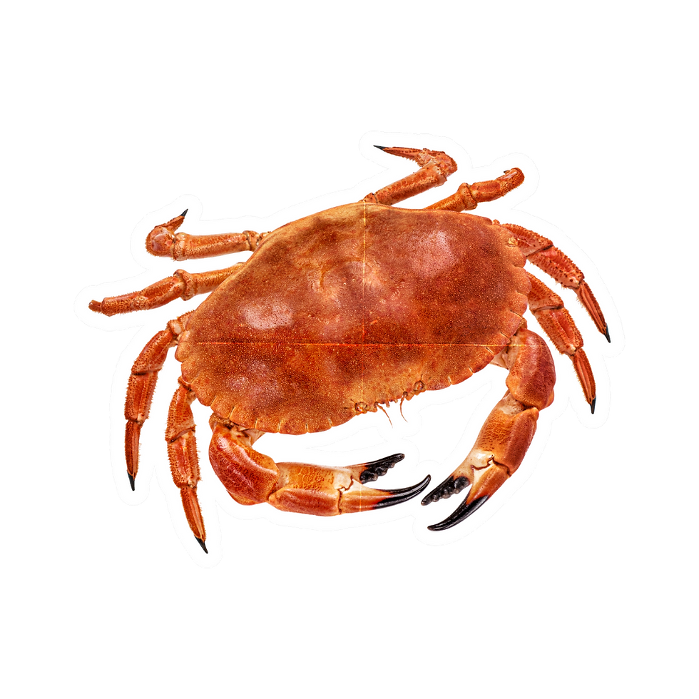 dts crab.png