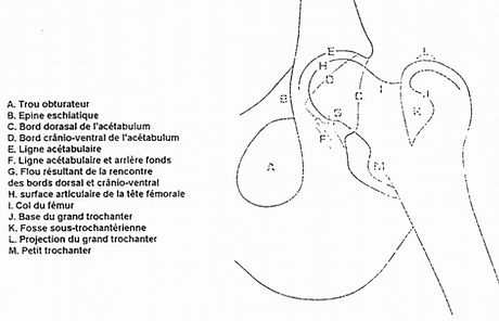 1000018799_da9f8a5454bcf17717f69da43bf5445f-11_06_2023 16_18_00 (1).jpg