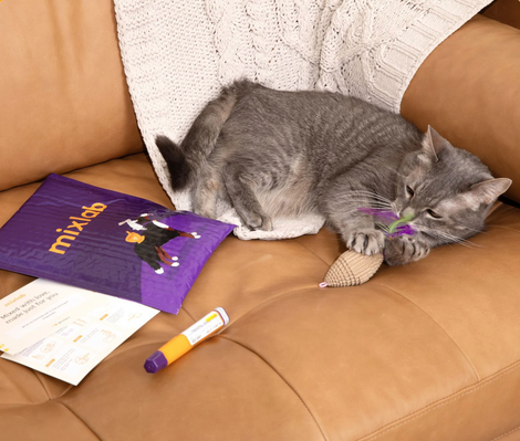 Illustrations for Mixlab