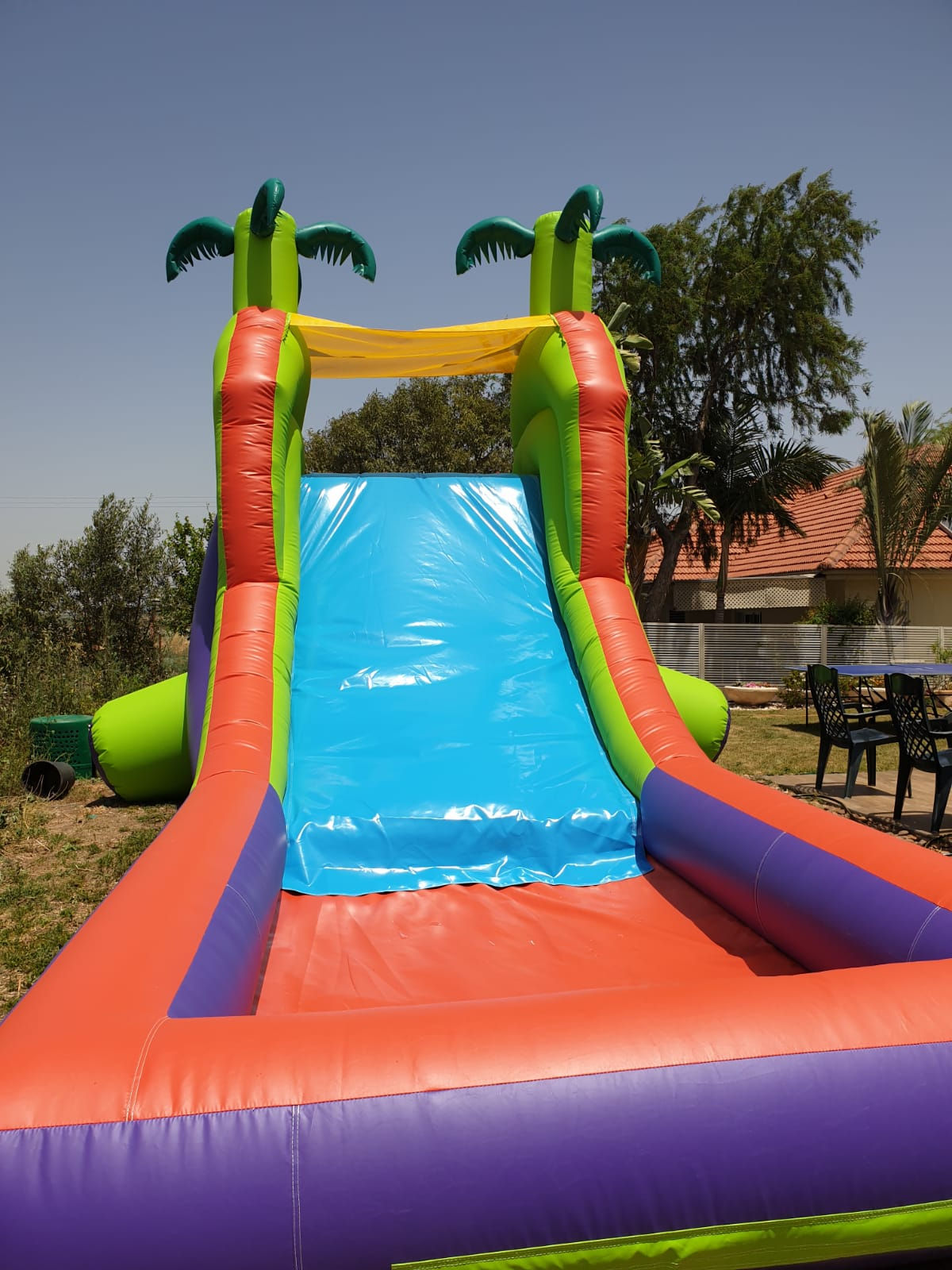 מגלשת דקלים