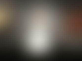 Thesis Exhibit — 'After the War' + 'Domestication'