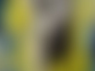 Print Shop Grand Re-Opening