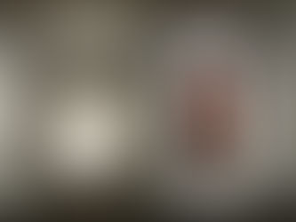 Thesis Exhibit Documentation Photos