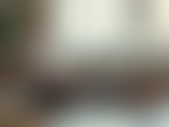 Simple and Effective Senior Wellness Exercises: Chair Workouts You Can Do at Home