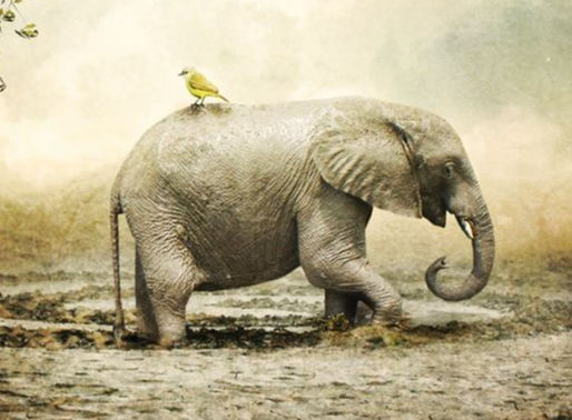 When Consistency Is Nonexistent... Part 2 