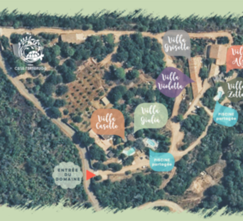 plan-masse-casa-tartaruga.jpg