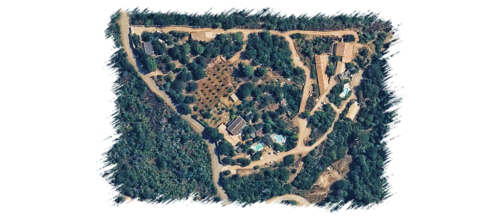 Plan-Casa-Tartaruga.png
