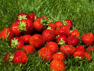 [ARTS DU CHAUDRON] Beltane 2014