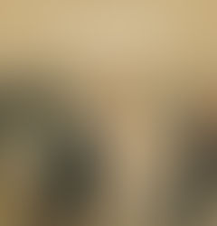 [BIBLIOTHEQUE] La civilisation celtique