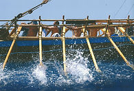 Rowing with Argo
