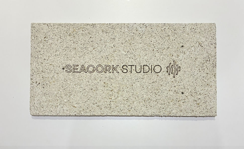 Seacork Studio (1).jpeg