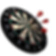 bulls_eye_implementation_accelerators_AIM