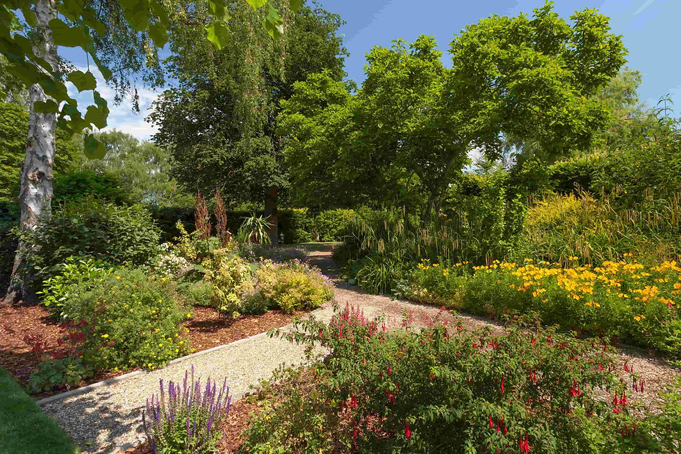 Flower borders maintenance in Canterbury