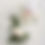 Thumbnail: Wedding Package