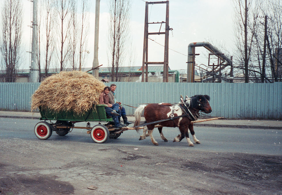 Czech farmer and son