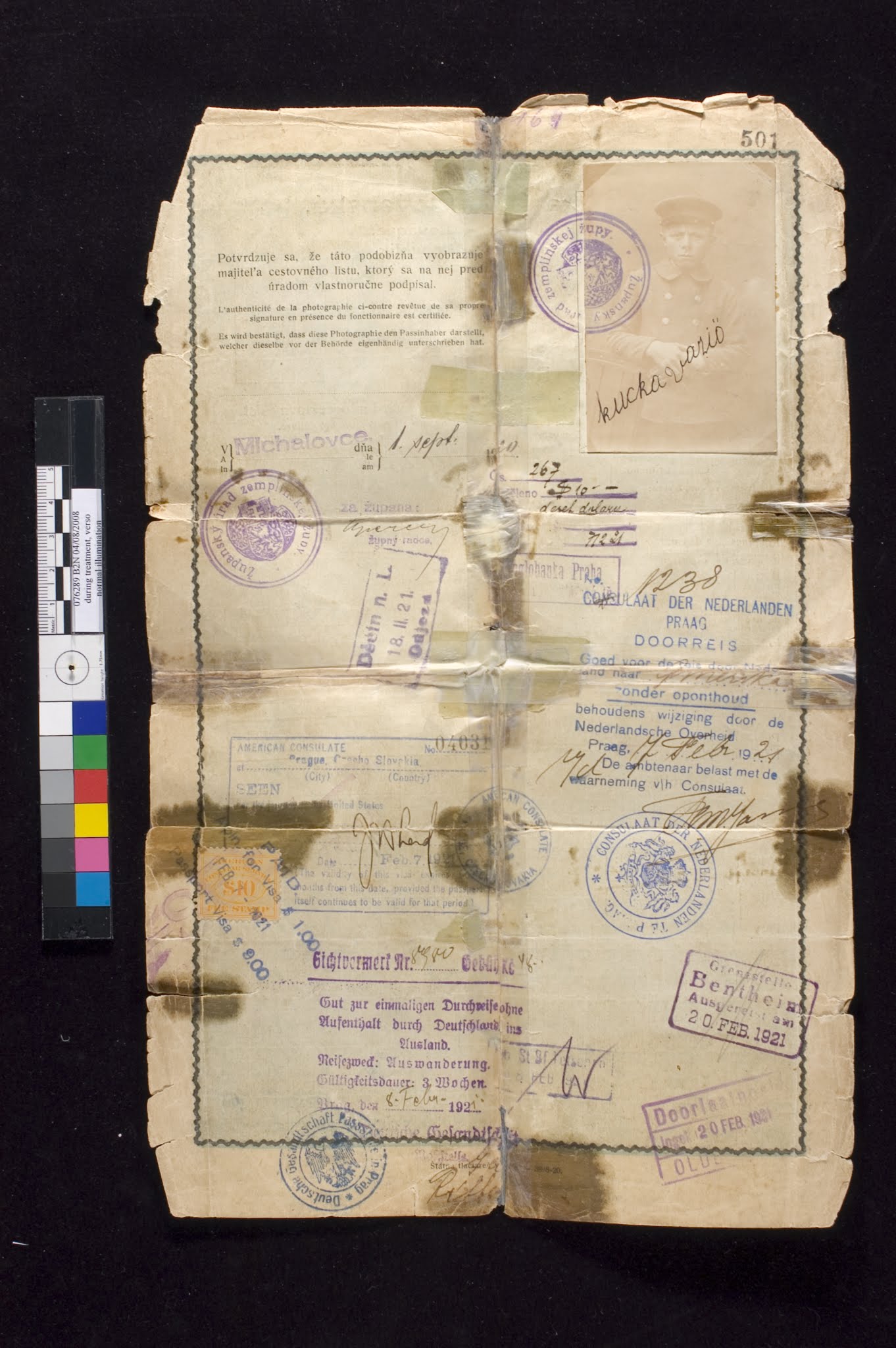 Passport, before treatment
