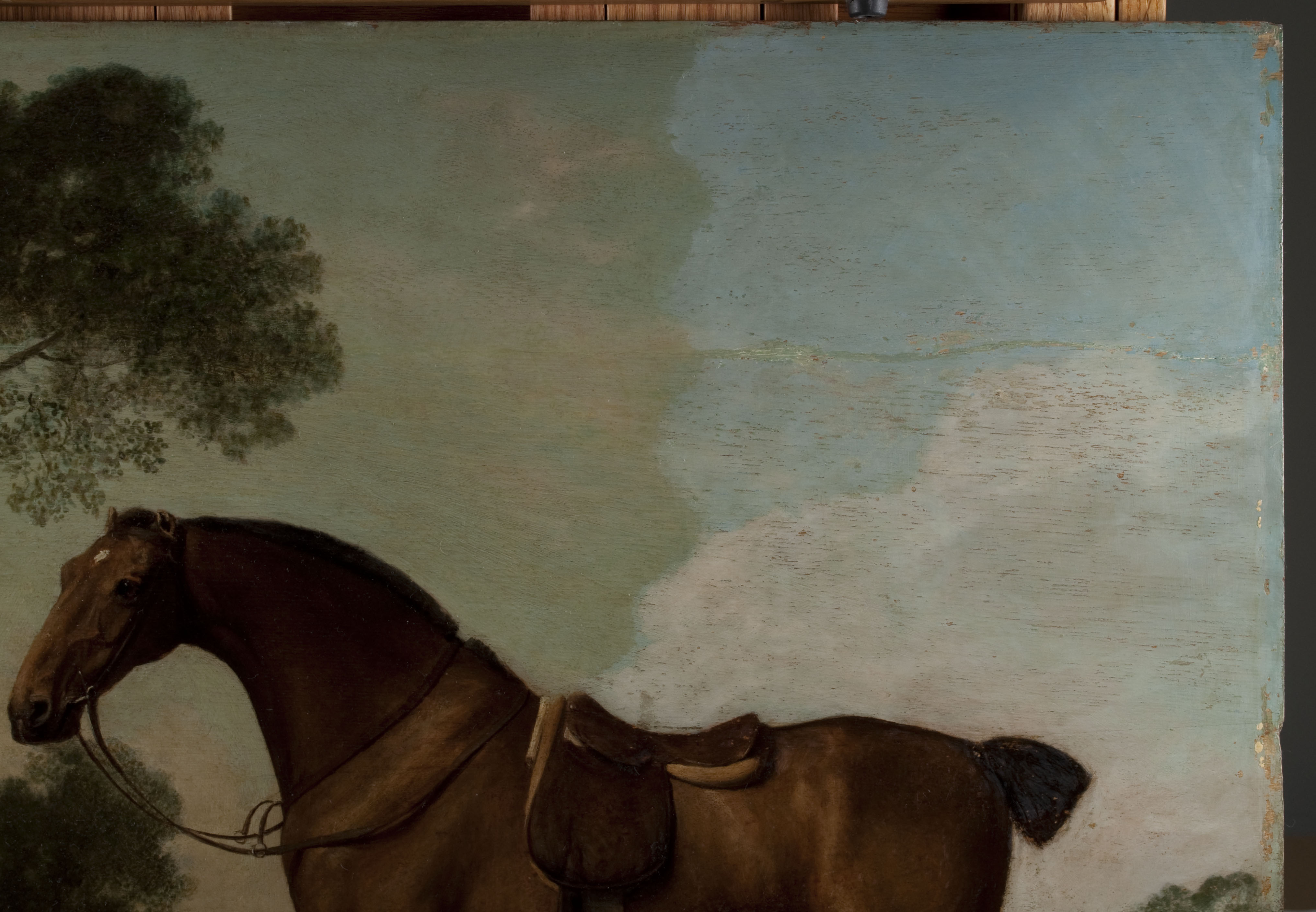 detail-horse
