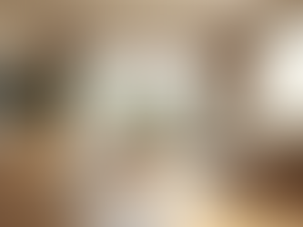 Transforming Spaces with Sun Floors Brandon