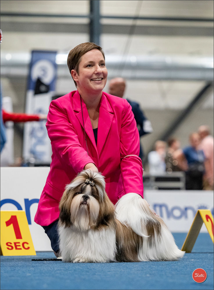 Golden Dog Trophy Liege