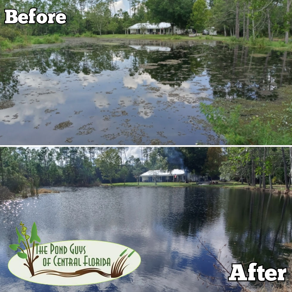 Polish_20211012_065348276