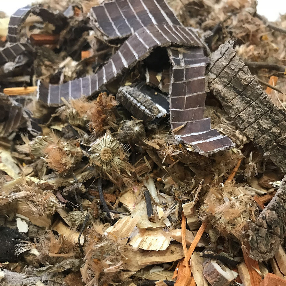 Thumbnail: Shaolin 16 herb Iron Palm Dit Da Jow KIT (makes 4-5 litres)