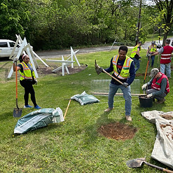 HITT teams planting trees