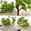 Thumbnail: 20/70pcs Plastic Model Train Artificial Miniature Tree Scenery Landscape