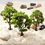 Thumbnail: 20/70pcs Plastic Model Train Artificial Miniature Tree Scenery Landscape