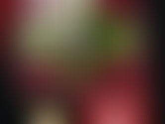 Fascismo se chama fascismo