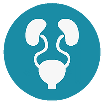 new urologia.png