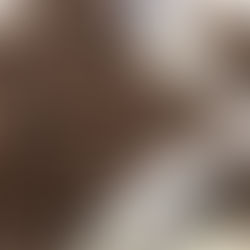 CHAMPION OF ALL SPICES!