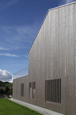 EFH_Niederweningen_002